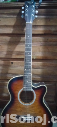 Acoustic guitar